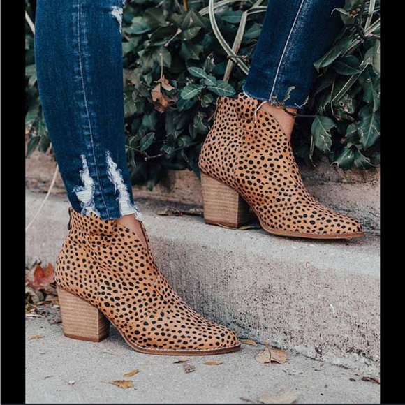 CCocci spotted animal print ankle boots size 9 - Picture 1 of 10